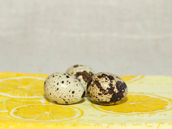 Ovos Codorna Frescos Produto Natural Ambientalmente Amigável Para Nutrição Qualidade — Fotografia de Stock