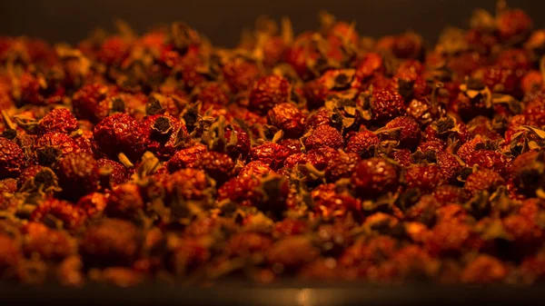 Dry rose hips, fragrant and bright ingredients — Stock Photo, Image