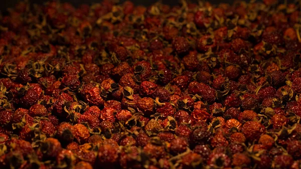 Dry rose hips, fragrant and bright ingredients — Stock Photo, Image