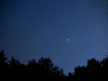 Yıldızlı gökyüzü bir kuyruklu yıldız ve diğer gök cisimleri ufukta ağaçların siluetleriyle.