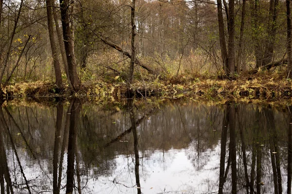 Lago Bosque Bajo Hermosos Árboles Otoño Reflejado Agua — Foto de Stock