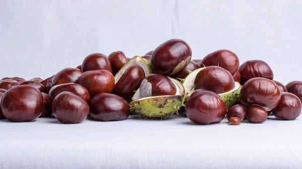 Chestnut003 — Stock Photo, Image