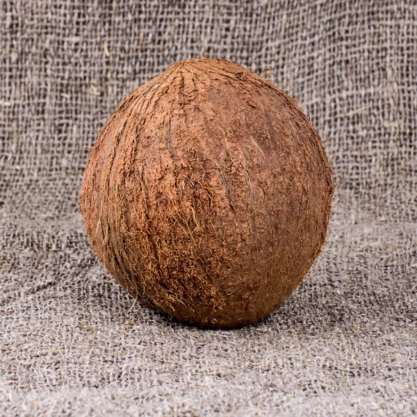 Coconut — Stock Photo, Image