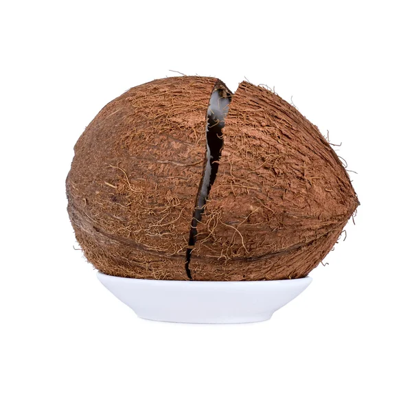 Coconut — Stock Photo, Image