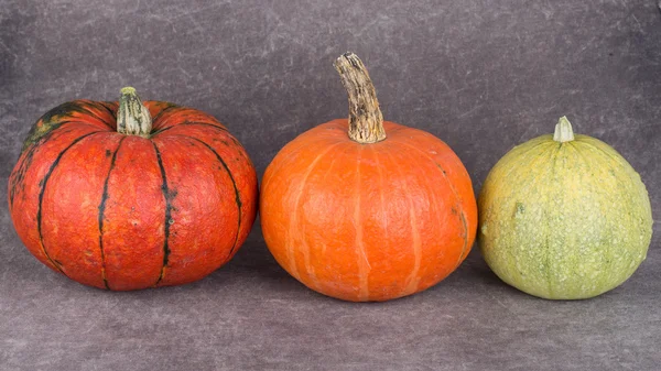 Autumn harvest pumpkins — Stock Photo, Image