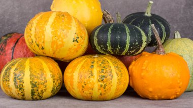 Parlak dekoratif kabak hasat