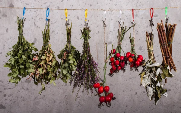 Dried herbs and berries — Stock Photo, Image