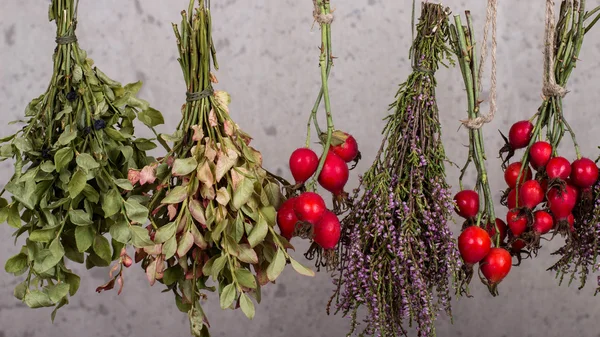 Dried herbs and berries — Stock Photo, Image