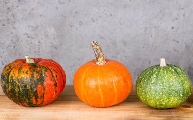 Hasat dekoratif kabaklar.