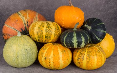 Hasat dekoratif kabaklar.