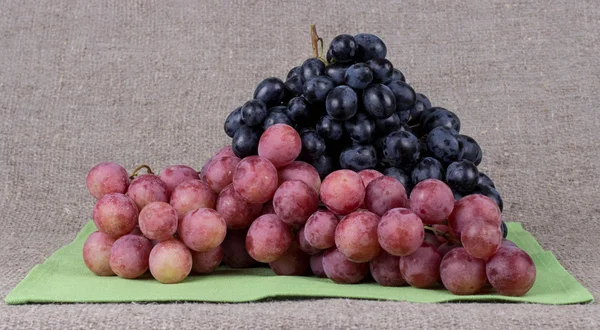 Autumn harvest, grapes — Stock Photo, Image