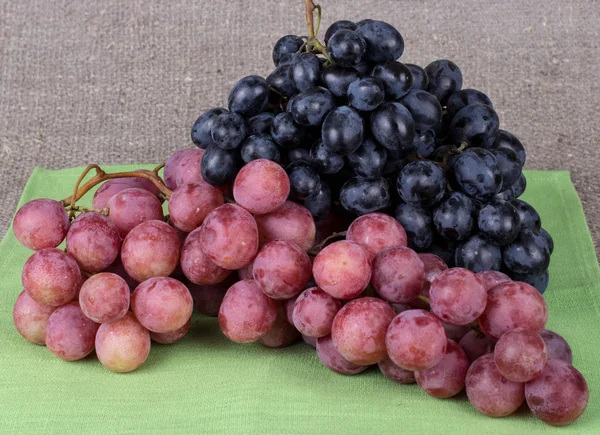 Cosecha de otoño, uvas — Foto de Stock