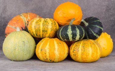 Parlak dekoratif kabaklar