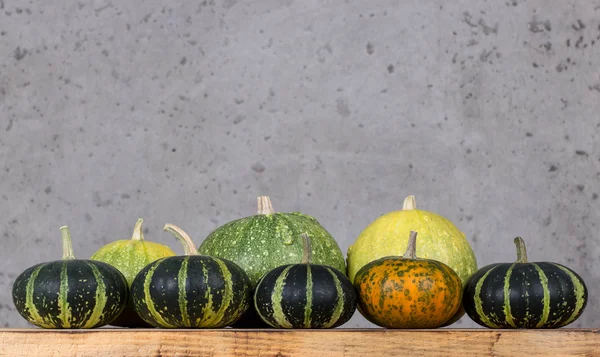 Calabazas decorativas brillantes —  Fotos de Stock