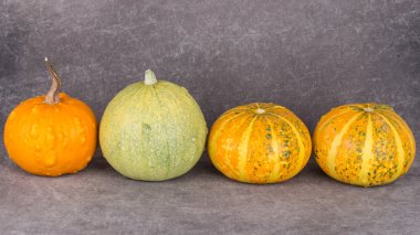 Parlak dekoratif kabaklar.