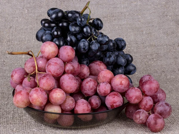 Uvas dulces y jugosas . — Foto de Stock