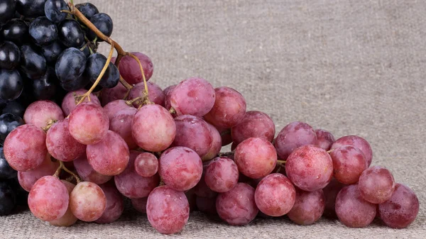Sweet and juicy grapes. — Stock Photo, Image