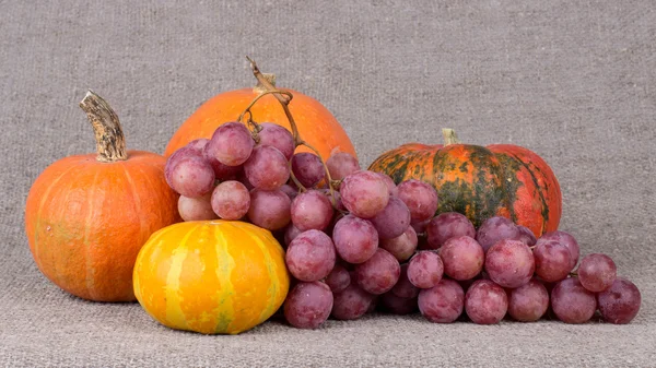 Uvas doces e suculentas . — Fotografia de Stock