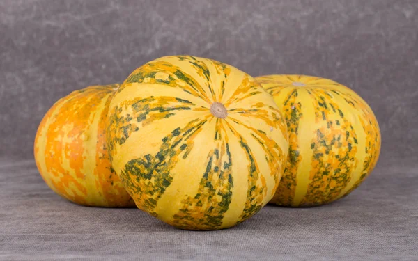 Bright decorative pumpkins. — Stock Photo, Image