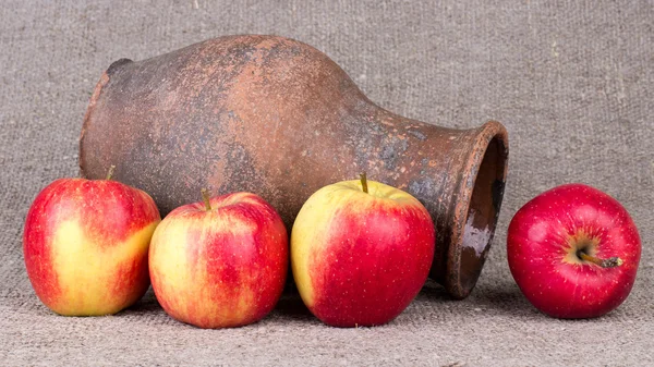 Autumn harvest apples. — Stock Photo, Image