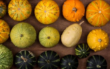 Sonbaharda hasat dekoratif kabaklar.