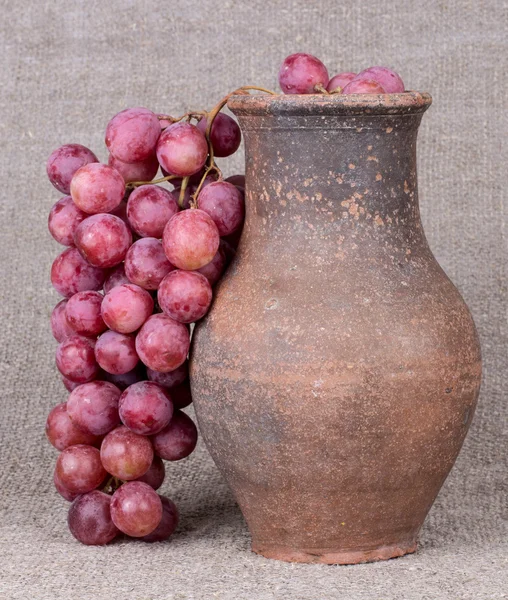 Autumn harvest grapes. — Stock Photo, Image