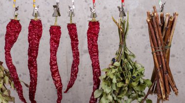 Bitkiler ve baharatlar.