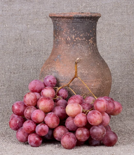 葡萄和壶 — 图库照片