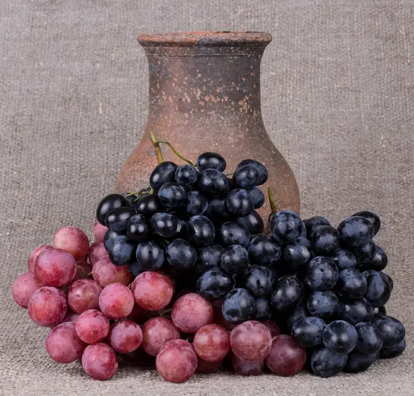 Grapes and jug — Stock Photo, Image