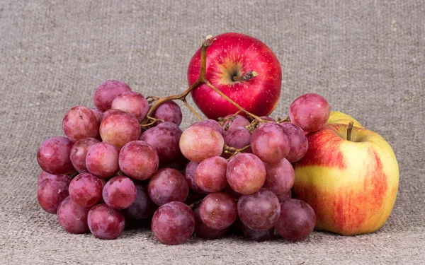 Uvas e jarro — Fotografia de Stock