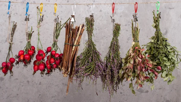 Herbs and spices — Stock Photo, Image