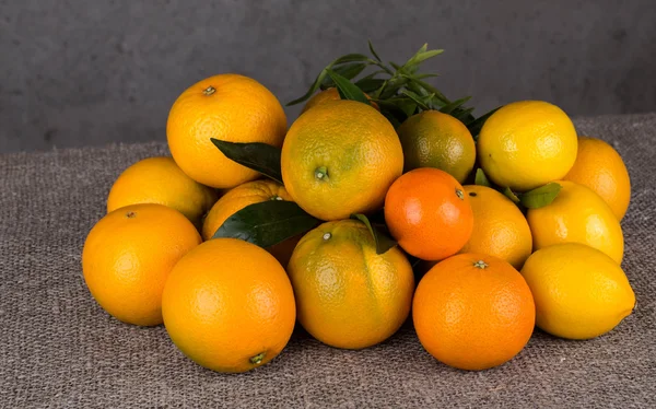 Citrus fruit, oranges and lemons — Stock Photo, Image