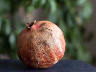 Kırmızı ve sulu nar