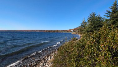 Groves Point, Breton Burnu, Nova Scotia 'daki deniz manzarası sonbahar yaprakları ve çalılarla çevrili bir kıyı yolu ve evleri gösteriyor.