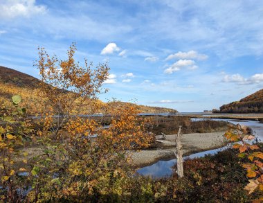 Ekim ayı boyunca Nova Scotia 'da dolambaçlı bir nehir yüzen portakal yapraklarıyla doludur. Kirli nehir kıyıları ve renkli sonbahar yapraklarıyla dolu bir orman yamacı dağınık bulutlarla mavi gökyüzünün altına doğru uzanıyor ve sakin bir sonbahar manzarasını yakalıyor.