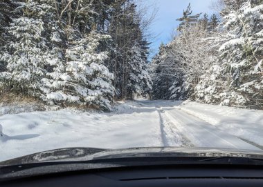 Karlı bir orman yoluna bakan bir arabanın içinden bak. Taze lastik izleri, açık mavi kış gökyüzünün altında tozla dolu köknar ağaçlarıyla beyaz karları kesiyor. Uzak, sessiz ve el değmemiş kış seyahati sahnesi.
