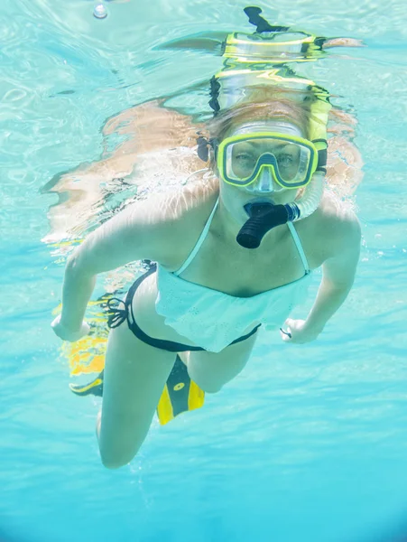 Download Full Face Snorkel Mask Stock Photos Royalty Free Full Face Snorkel Mask Images Depositphotos PSD Mockup Templates