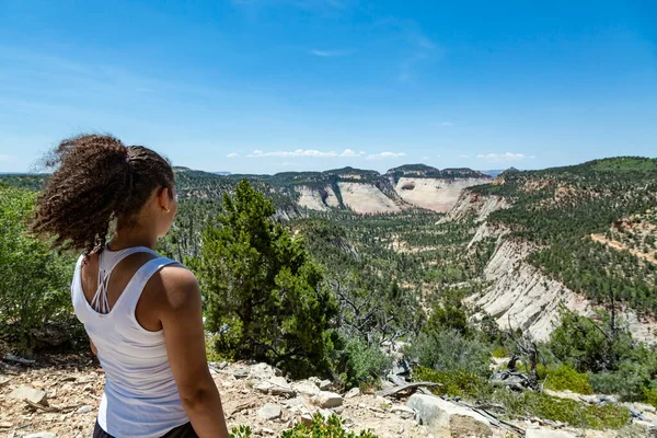 Vista Trasera Una Mujer Afroamericana Que Mira Una Vista Panorámica — Foto de Stock