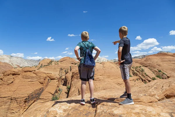 Rear View Two Boys Looking Scenic View Zion National Park — Stock Photo, Image
