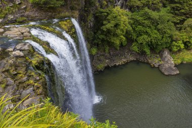 Yeni Zelanda muhteşem şelale