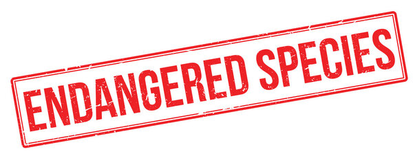 Красный резиновый штамп на белом
