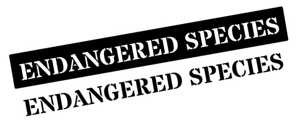 Чёрный резиновый штамп на белом
