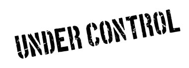 Denetim pencere boyutu altında