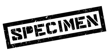 Numune pencere boyutu