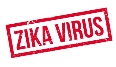 zika virüs pencere boyutu