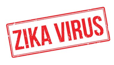 zika virüs pencere boyutu