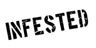 Musallat pencere boyutu