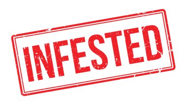 Musallat pencere boyutu