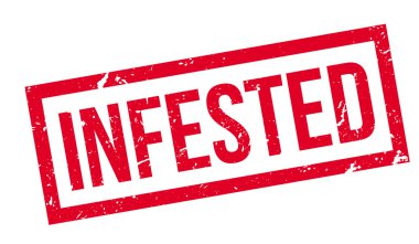 Musallat pencere boyutu