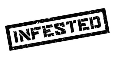 Musallat pencere boyutu